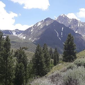 Meet your Posher, Pilar